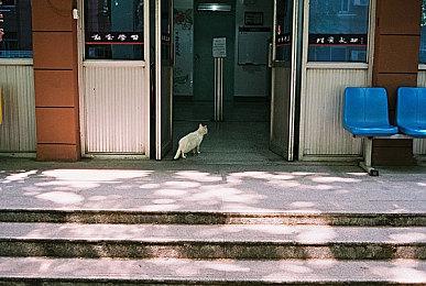 《忍者龙剑传4》新视频 身法如风步步杀机