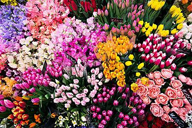 独立游戏的GTA！  又一款游戏被《丝之歌》吓到延期